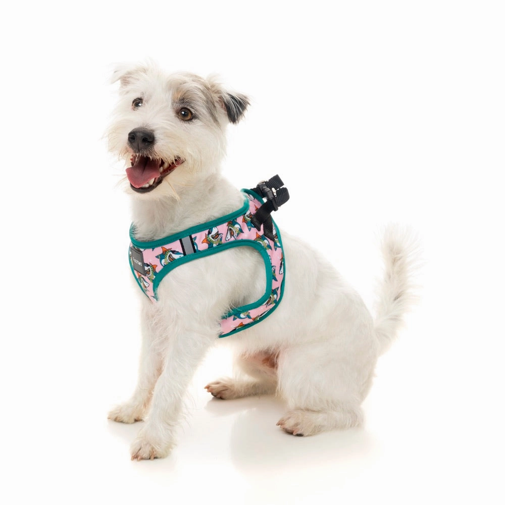 FuzzYard Step-in Dog Harness (LL Cool Jaw$)
