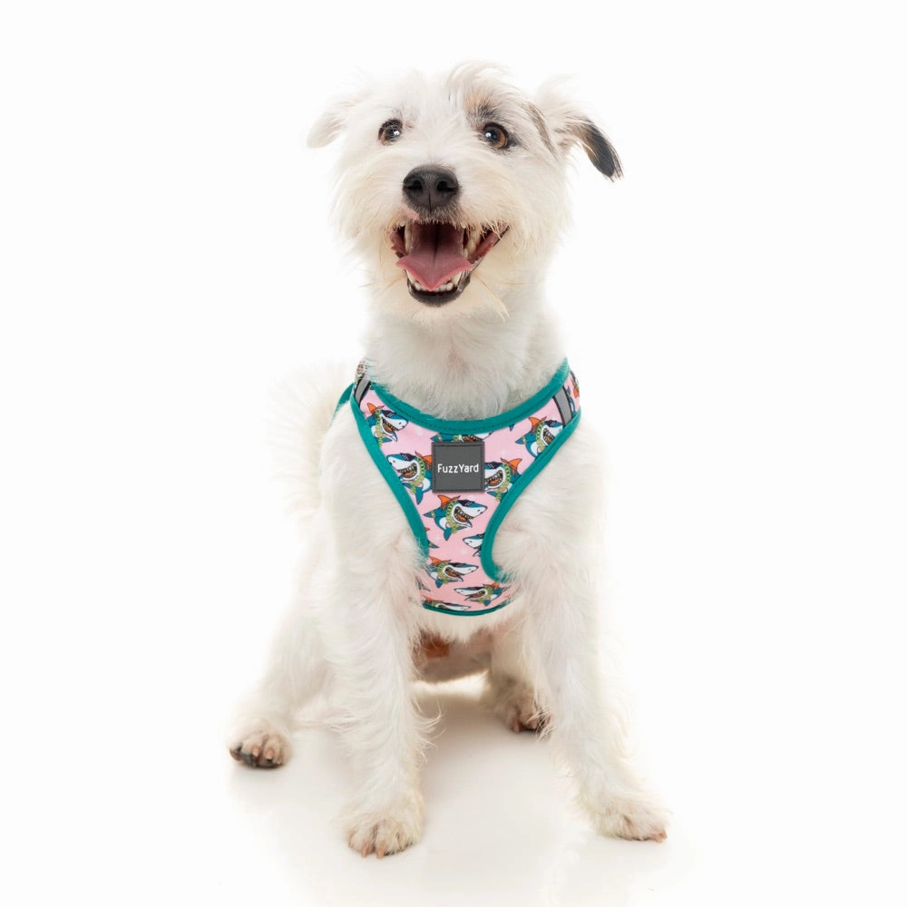 FuzzYard Step-in Dog Harness (LL Cool Jaw$)