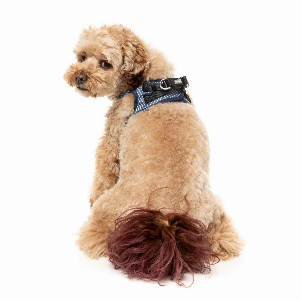 FuzzYard Thornbury Aegean Blue Step-In Dog Harness