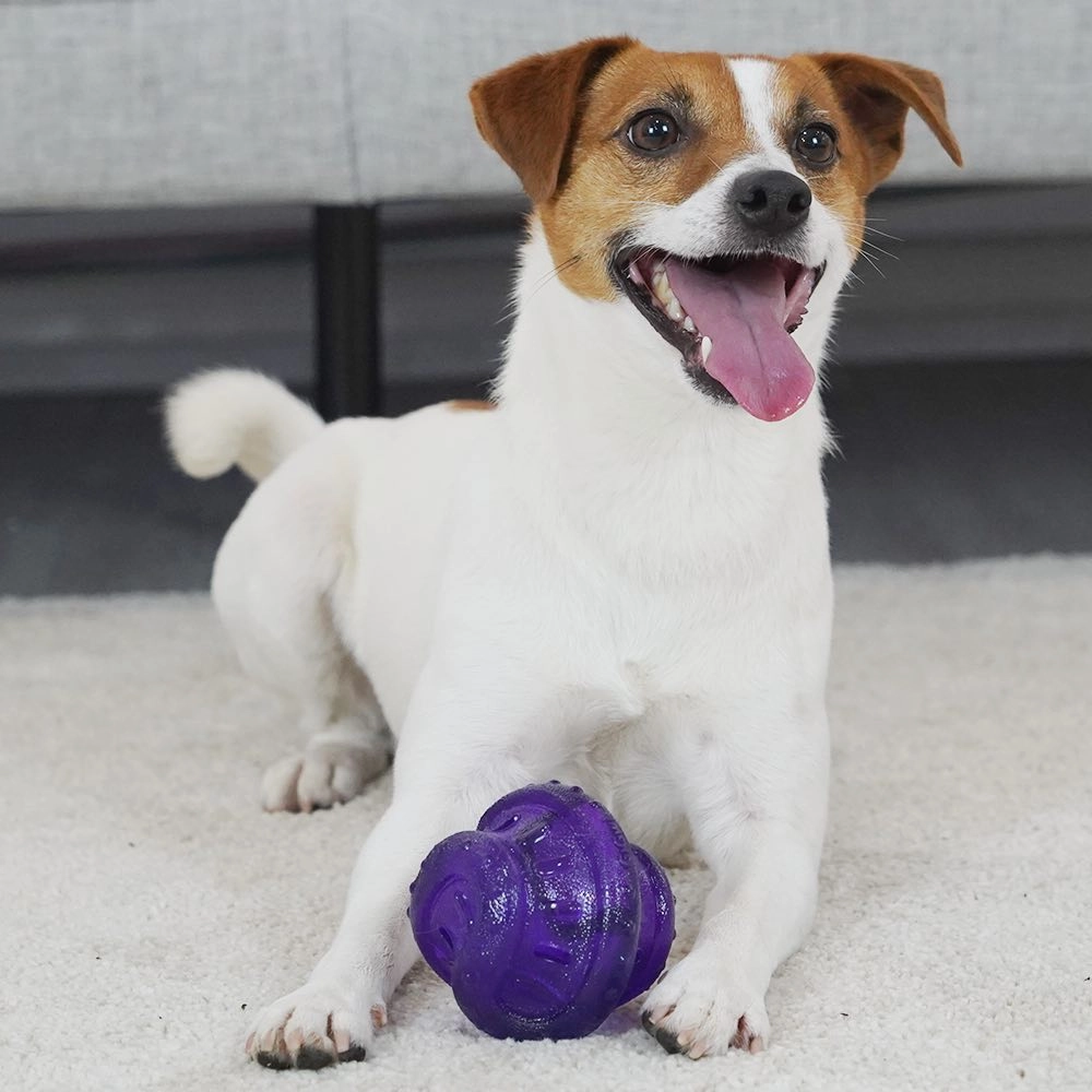GiGwi Rolling Bell Ball Dog Toy