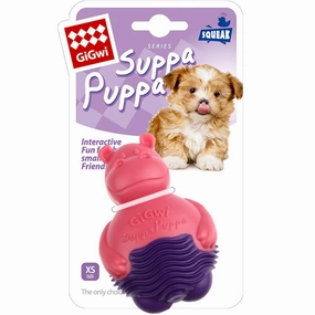 Dog Accessories