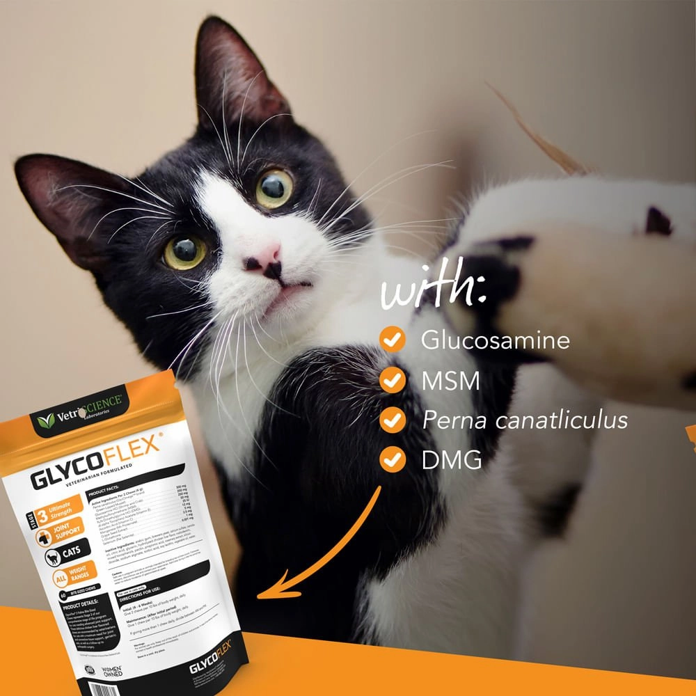 Glyco Flex 3 Joint Support for Cats, 60 Bite Sized Chews
