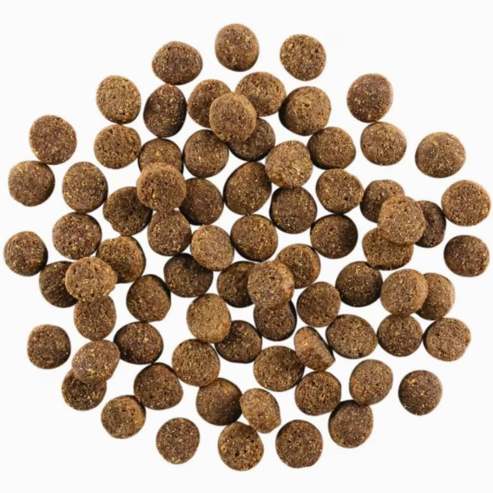 Go! Solutions Skin   Coat Lamb Recipe Dry Dog Food 3.5lb
