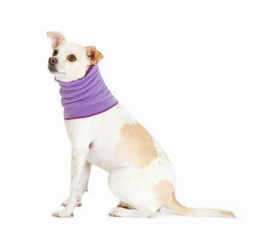 Gold Paw Snood Red Lavender/Eggplant -