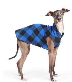 Gold Paw Stretch Fleece - Cobalt Buffalo Check
