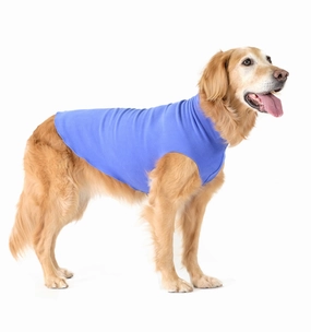 Gold Paw Stretch Fleece - Cornflower Blue