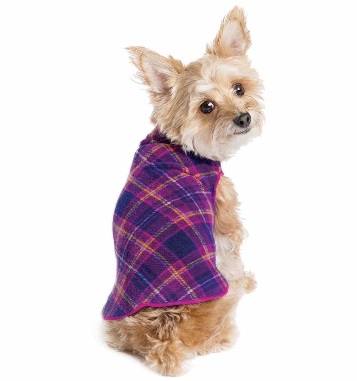 Gold Paw Stretch Fleece - Mulberry Plaid
