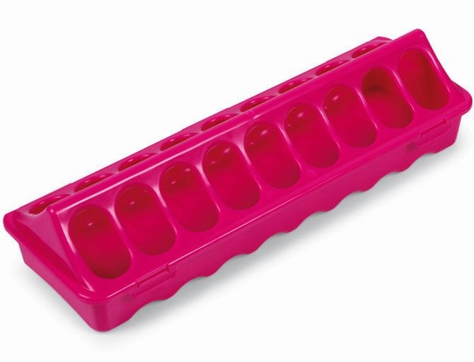 Ground Chicken Feeder, Medium