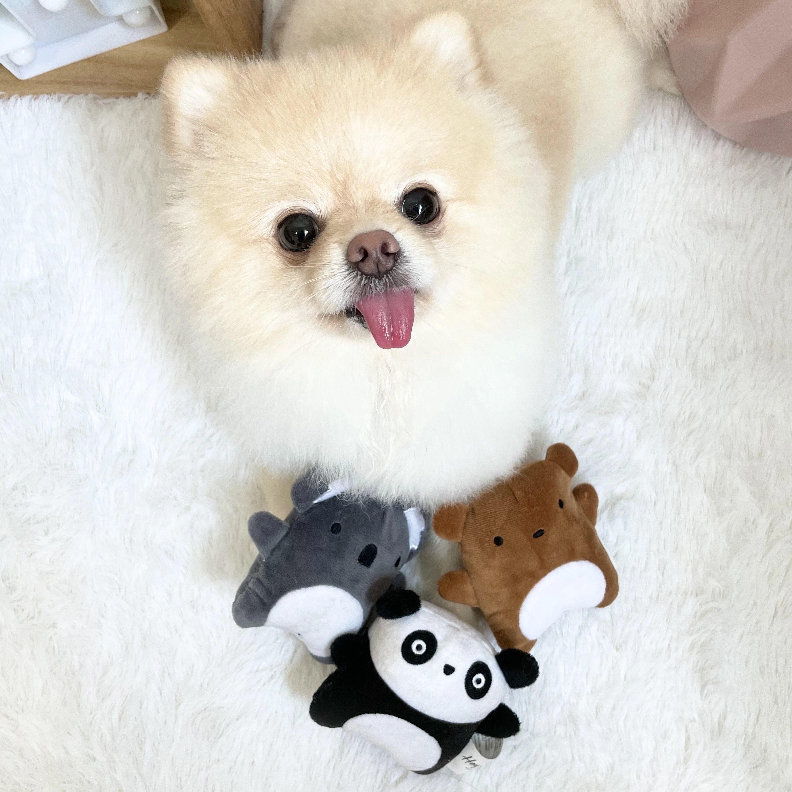 Hey Cuzzies Mini Frenz Wendy the Brown Bear Dog Toy