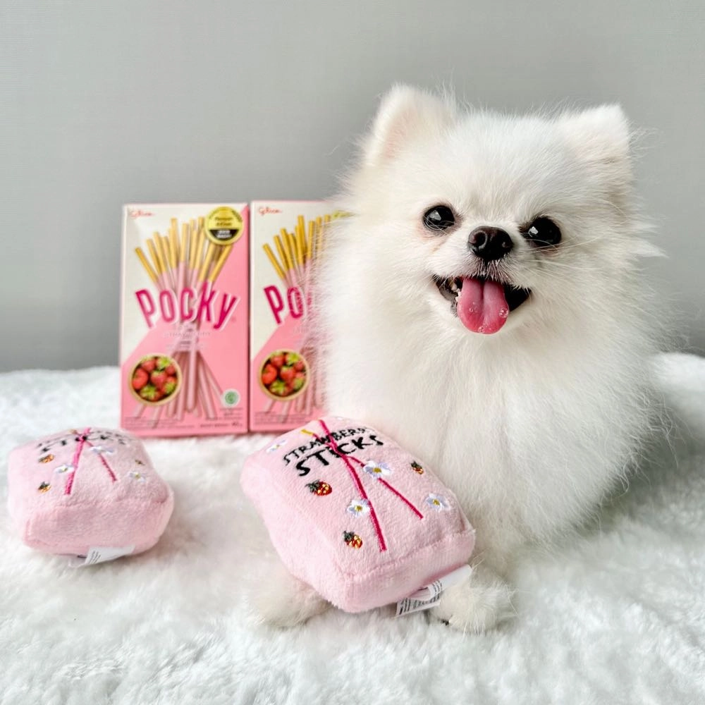 Hey Cuzzies Mini Snackz Strawberry Pawky Interactive Plush Dog Toy