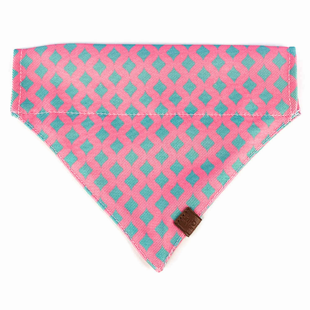 Hidream Profusion Dog & Cat Bandana (Bobby)