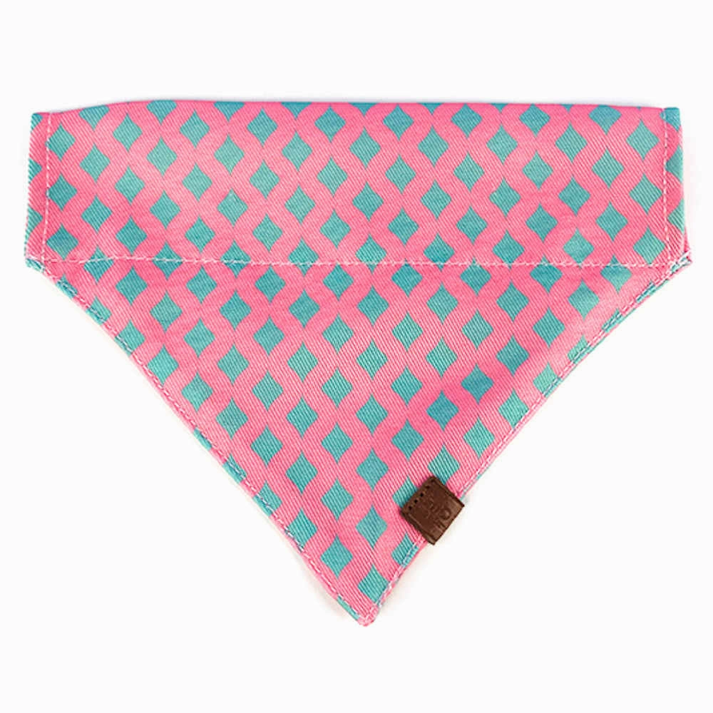 Hidream Profusion Dog & Cat Bandana (Bobby)