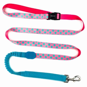 HiDREAM Profusion Multifunctional Dog Leash (Bobby)