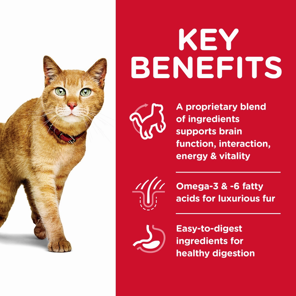Hill's Science Diet Adult 7  Senior Vitality Chicken & Rice Recipe Dry Cat Food