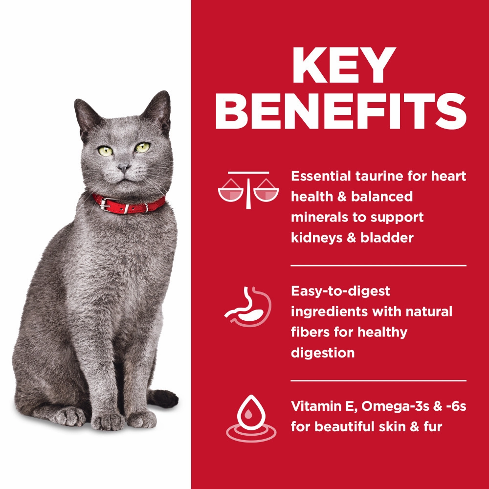 Hill's Science Diet Hill's Science Diet Adult 7  No Corn, Wheat, or Soy Chicken & Brown Rice Recipe Dry Cat Food