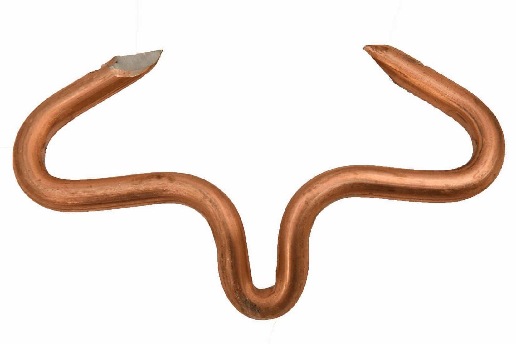 Hog and Pig Rings