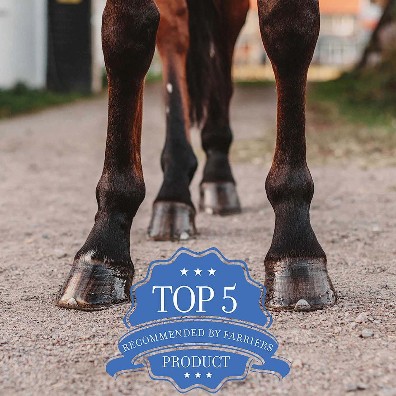 Hooflex Magic Cushion Hoof Packing for Horses