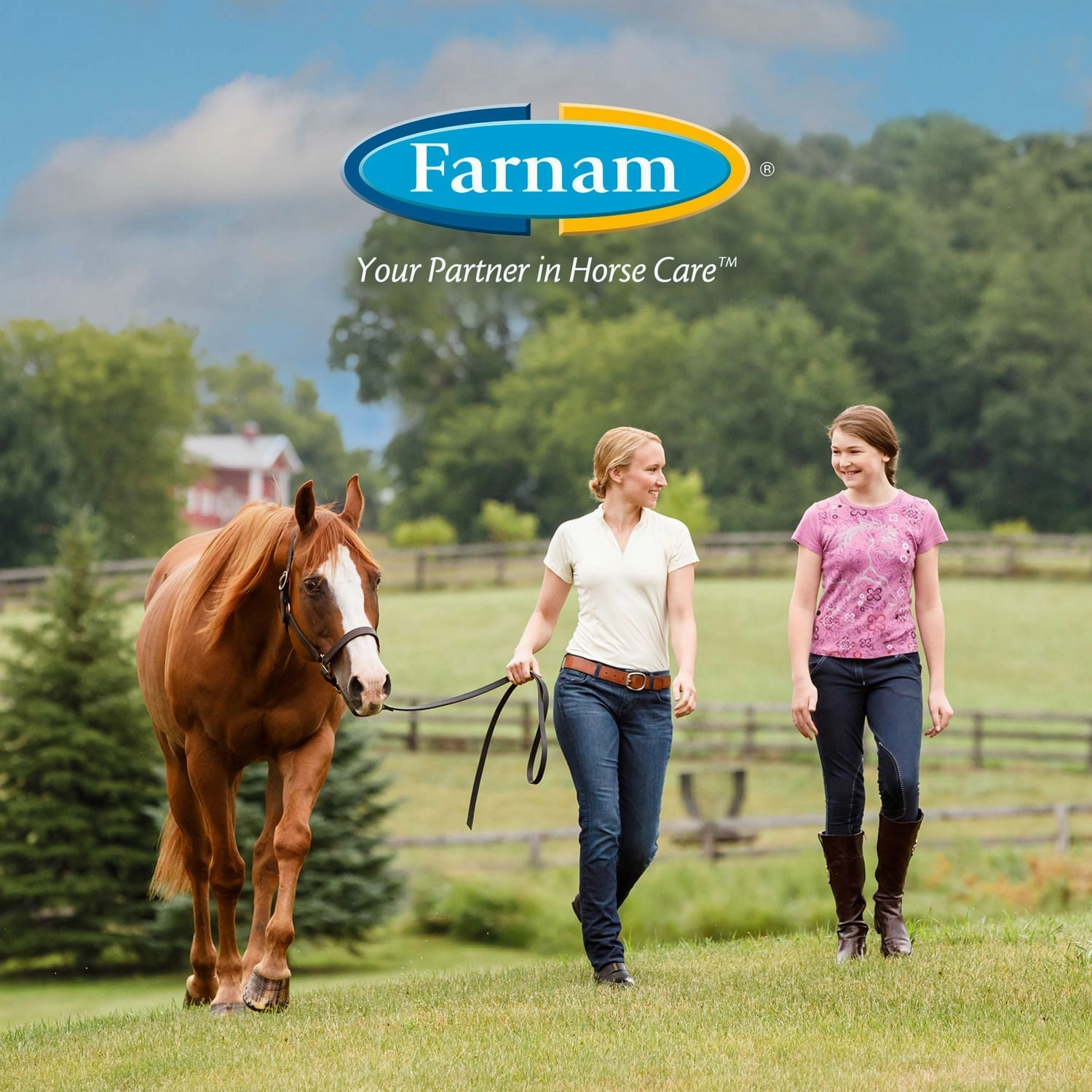Horseshoer's Secret Pelleted Hoof Supplement