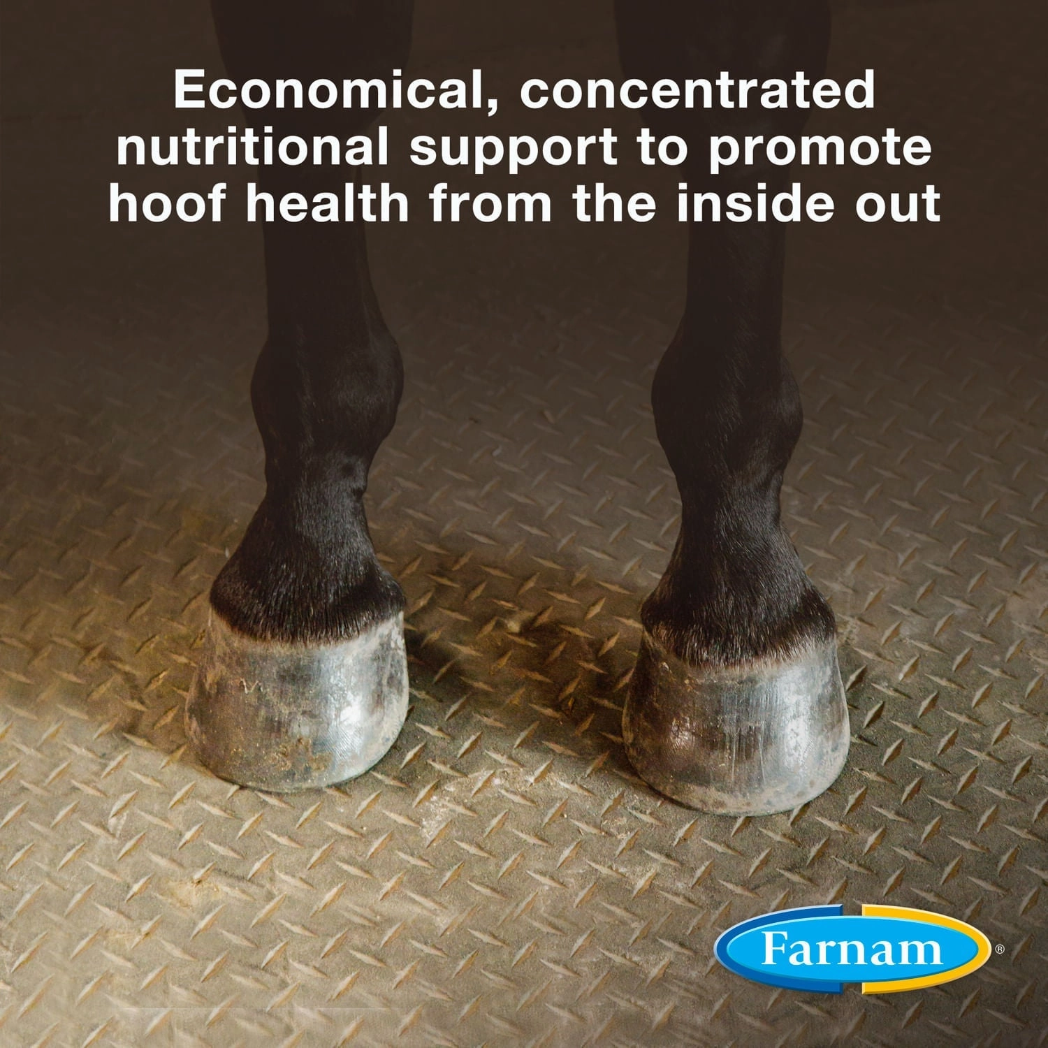 Horseshoer's Secret Pelleted Hoof Supplement