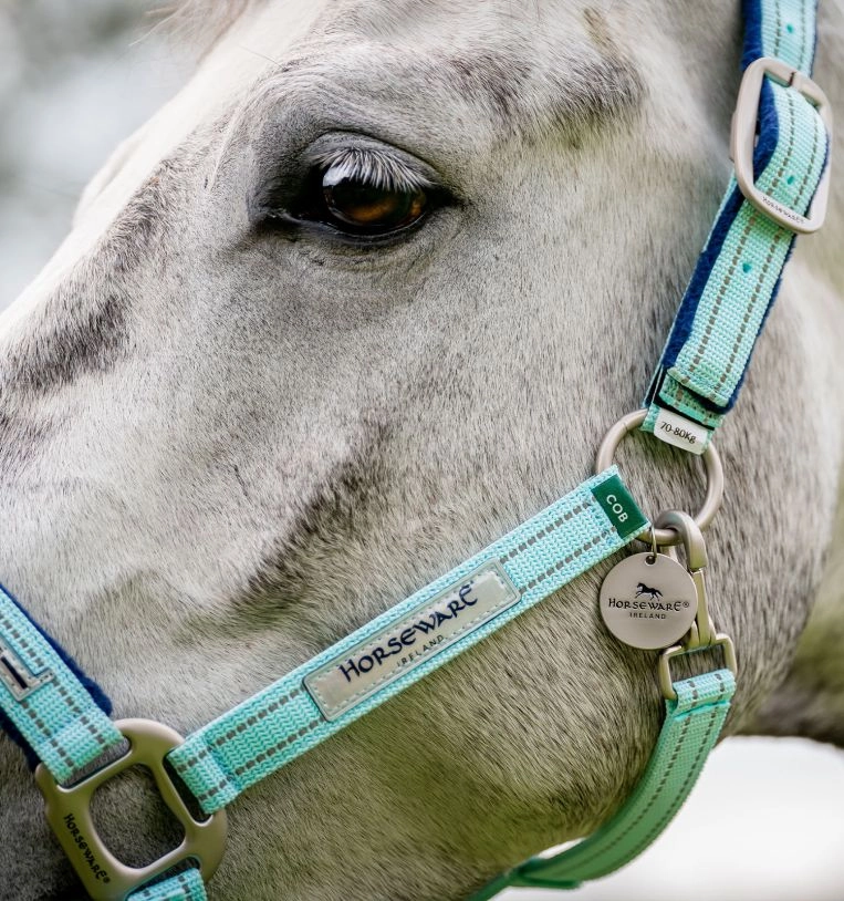 Horseware FieldSafe Halter
