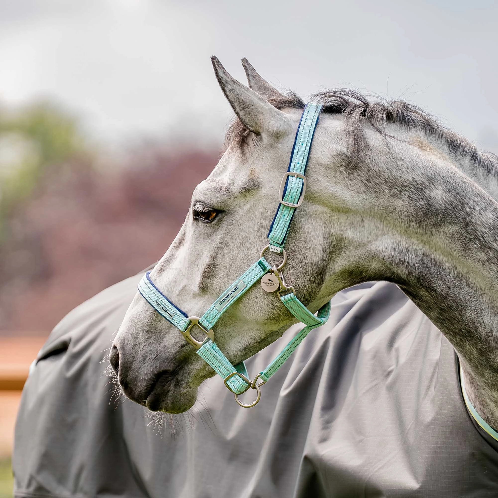 Horseware FieldSafe Halter