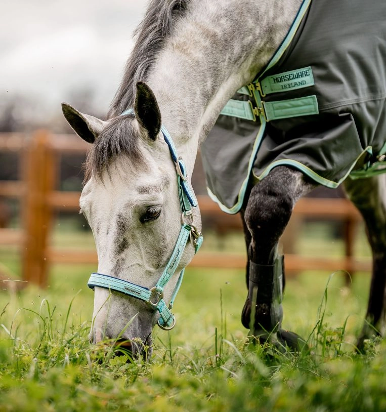 Horseware FieldSafe Halter