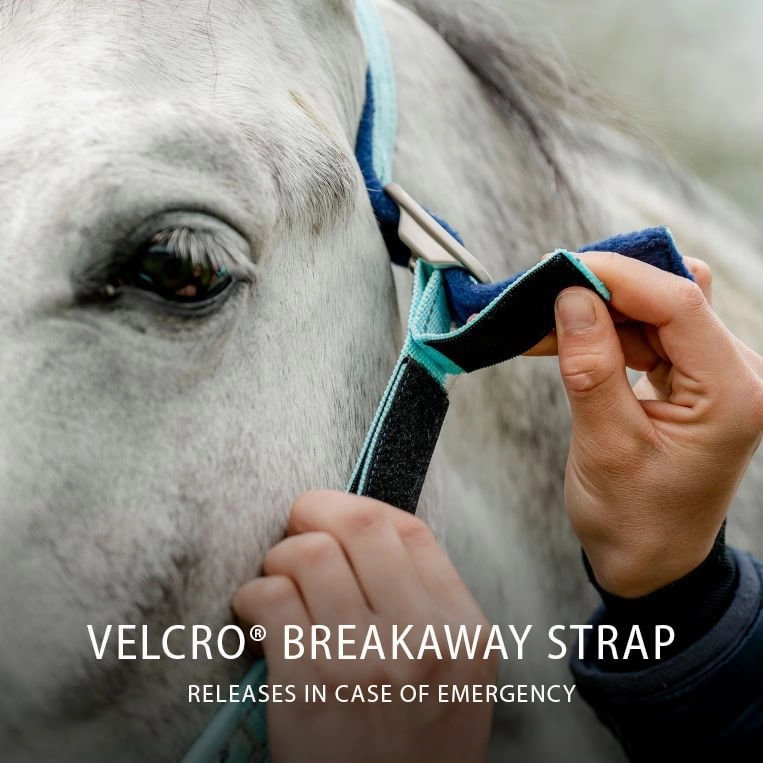 Horseware FieldSafe Halter