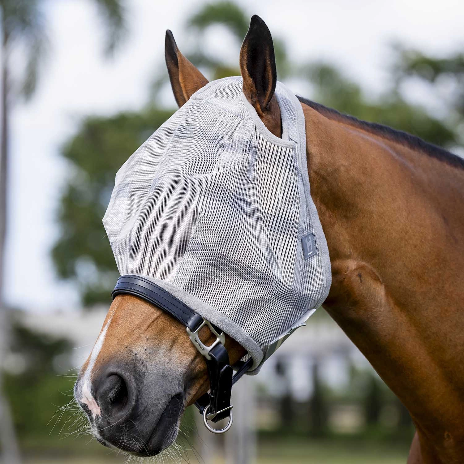 Horseware Newmarket Fly Mask without Ears