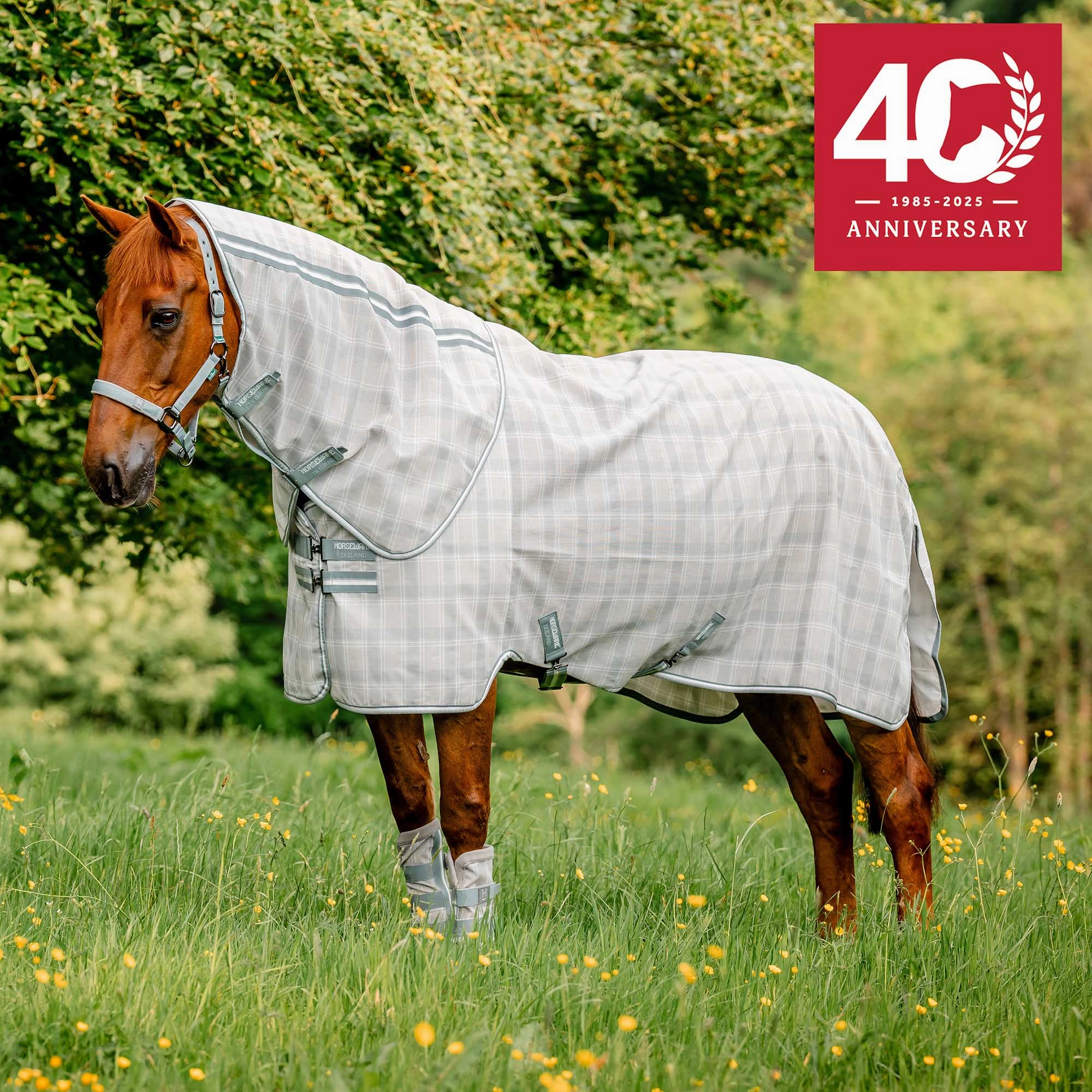 Horseware Newmarket Plus Fly Sheet