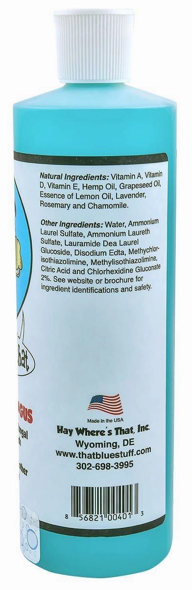 It's A Fungus Amungus, 16 oz