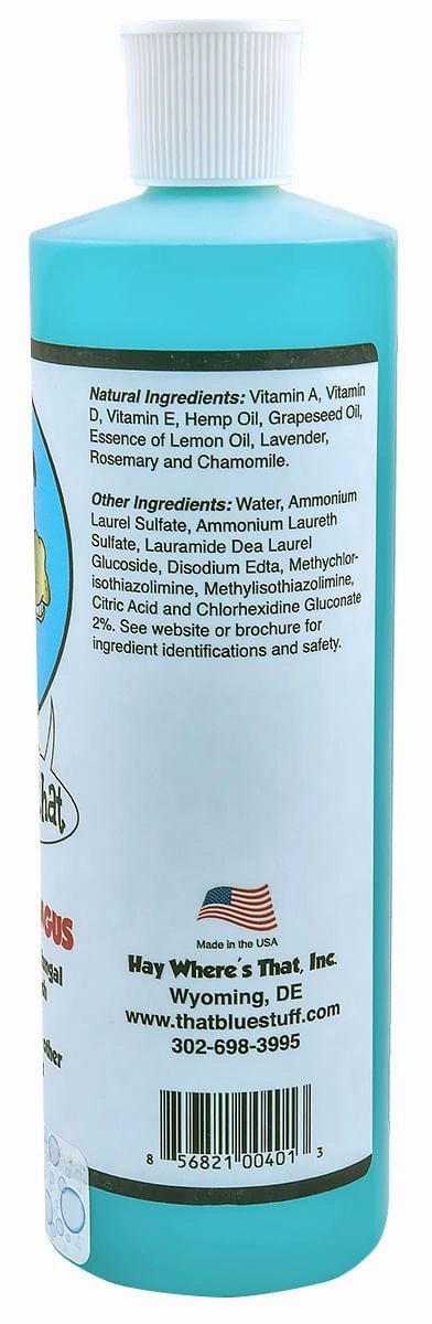 It's A Fungus Amungus, 16 oz