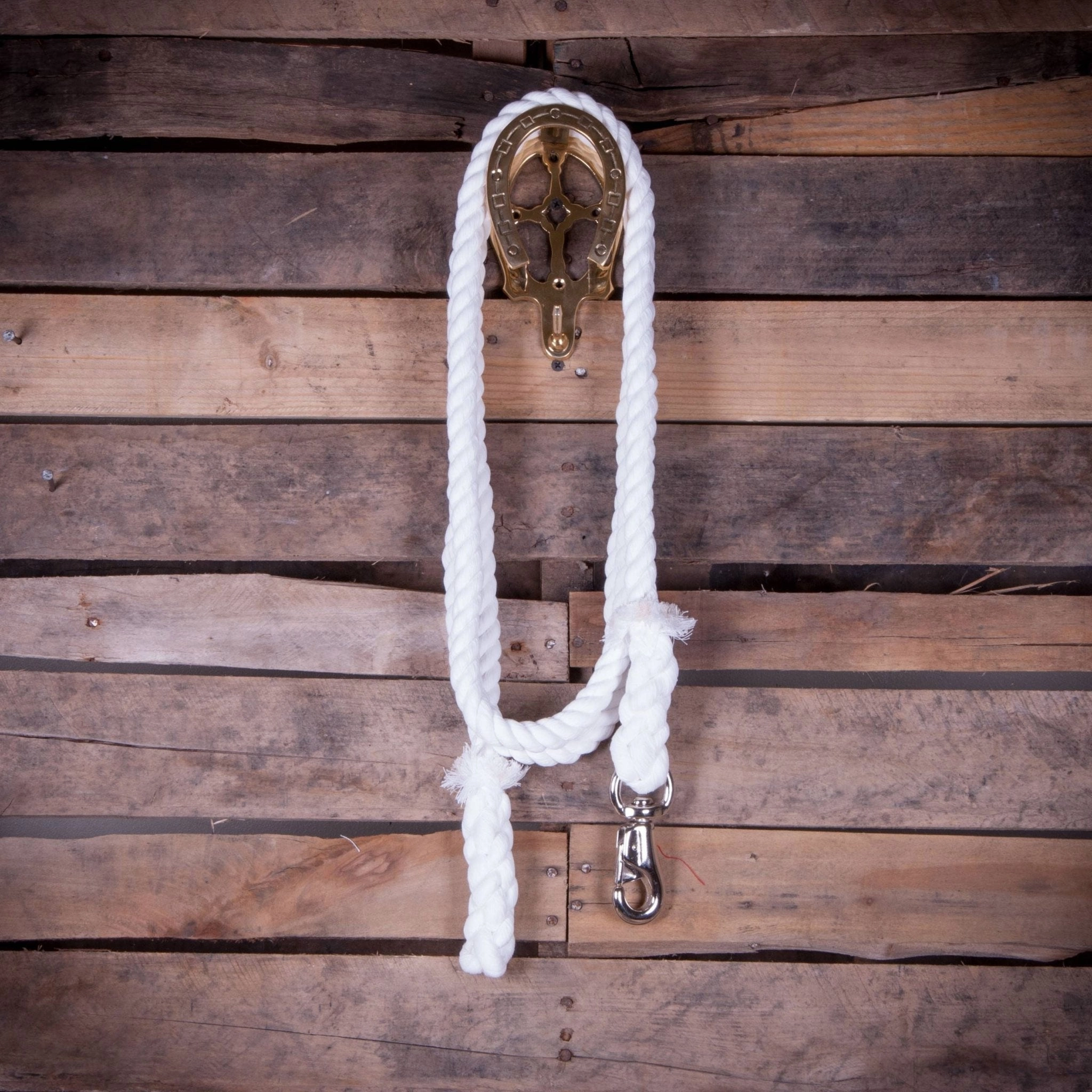 Jeffers Colorful Cotton Horse Lead Ropes with Nickel Bull Snap, 10' L