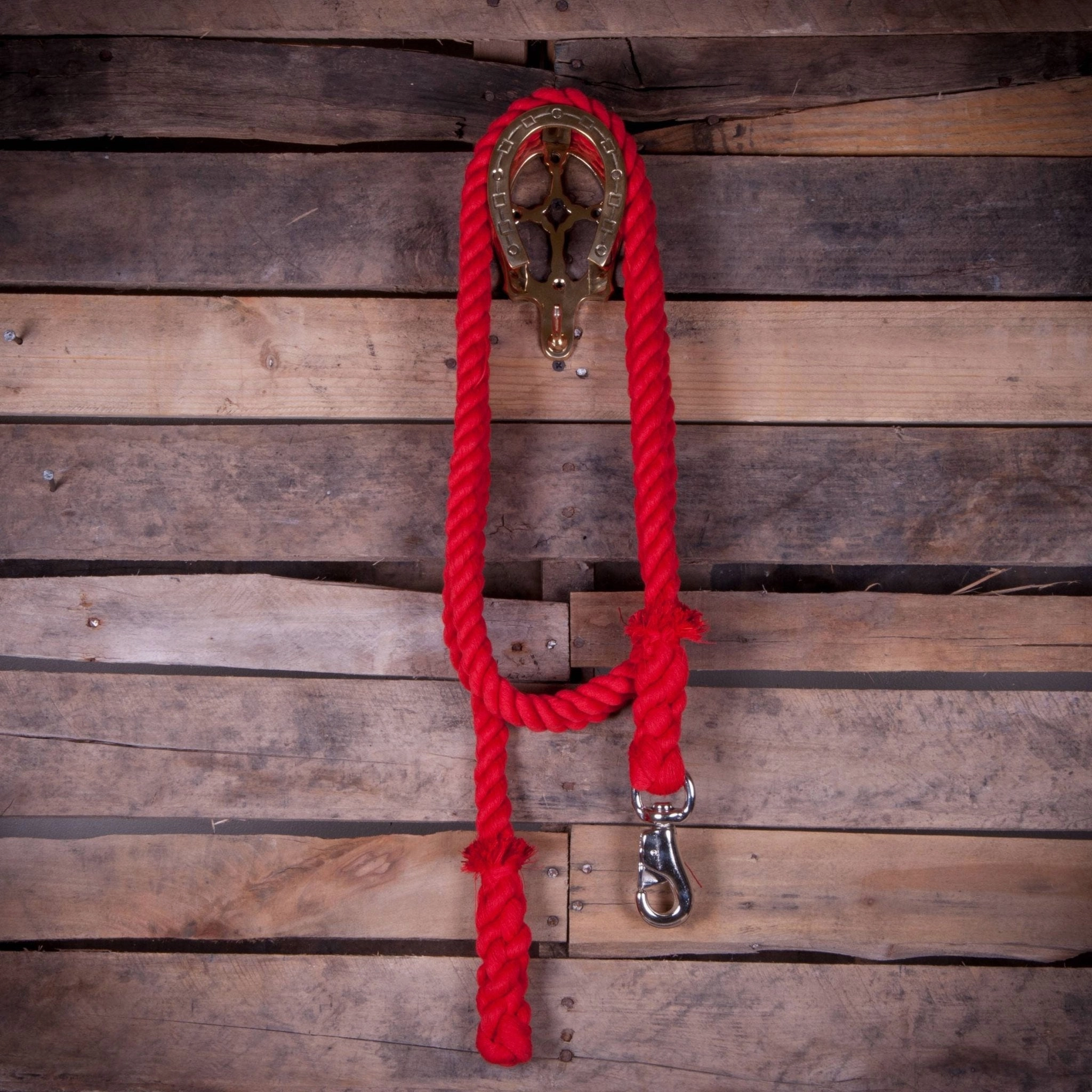 Jeffers Colorful Cotton Horse Lead Ropes with Nickel Bull Snap, 10' L