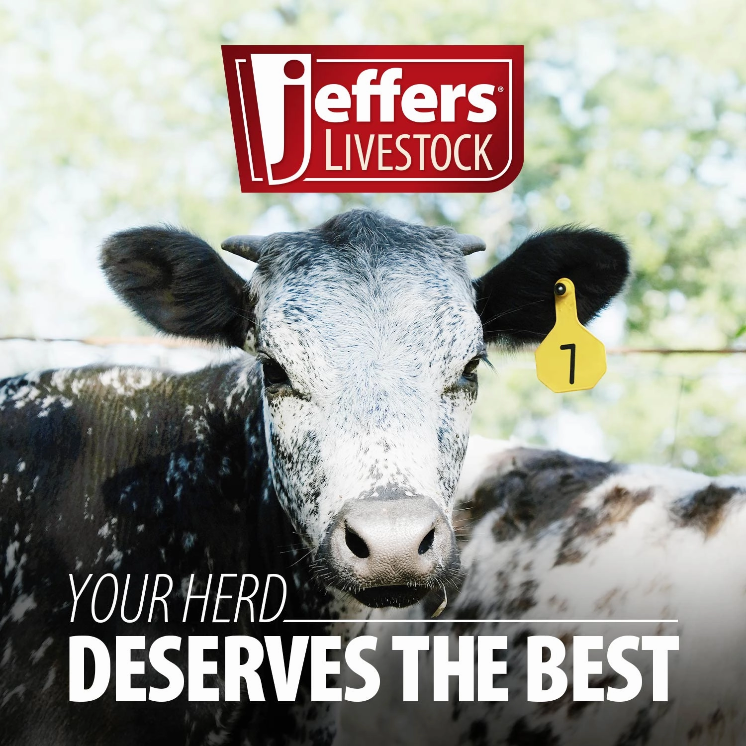 Jeffers Ear Tag Remover