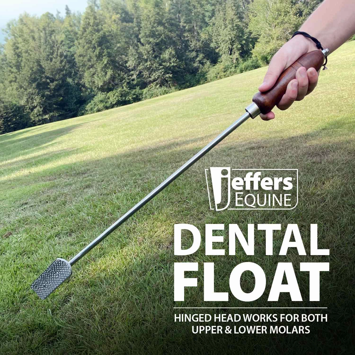 Jeffers Horse Dental Float (& Replacement Blades)