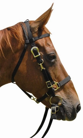 Jeffers Nylon Combination Horse Halter Bridle with Reins