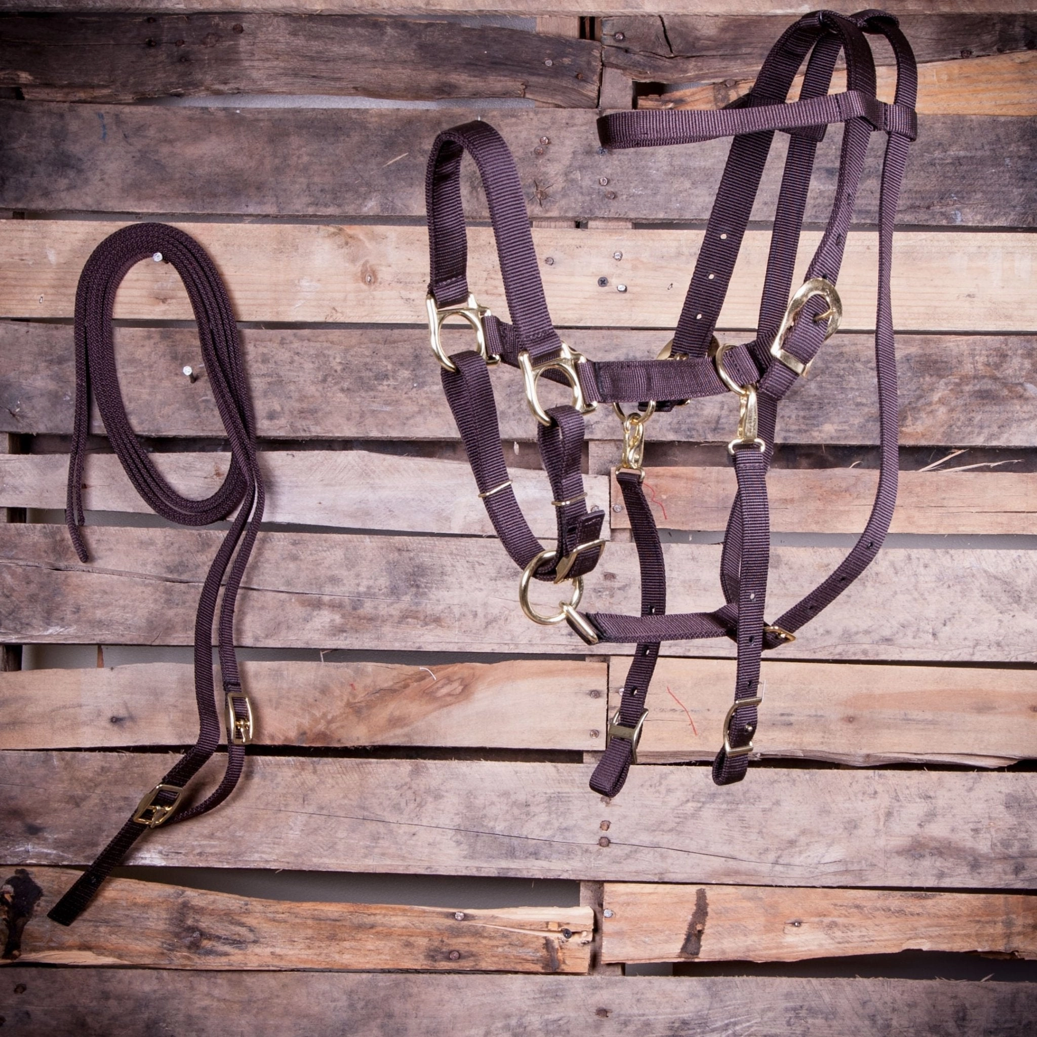 Jeffers Nylon Combination Horse Halter Bridle with Reins