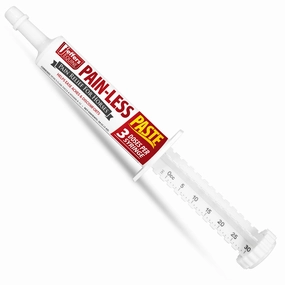 Jeffers Pain-Less Comfort Paste for Horses, 30cc Syringe