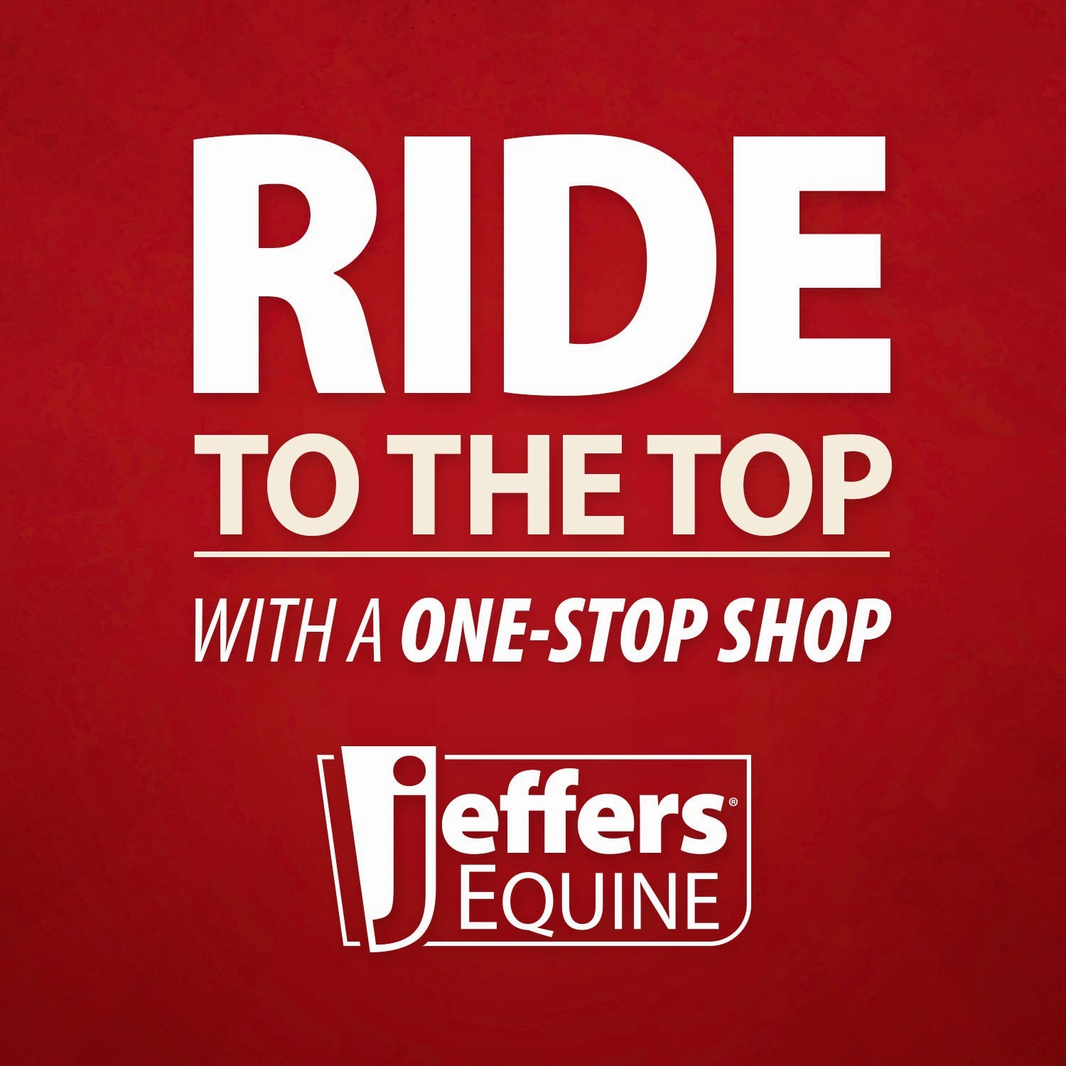 Jeffers Pain-Less Inflammation Supplement for Horses