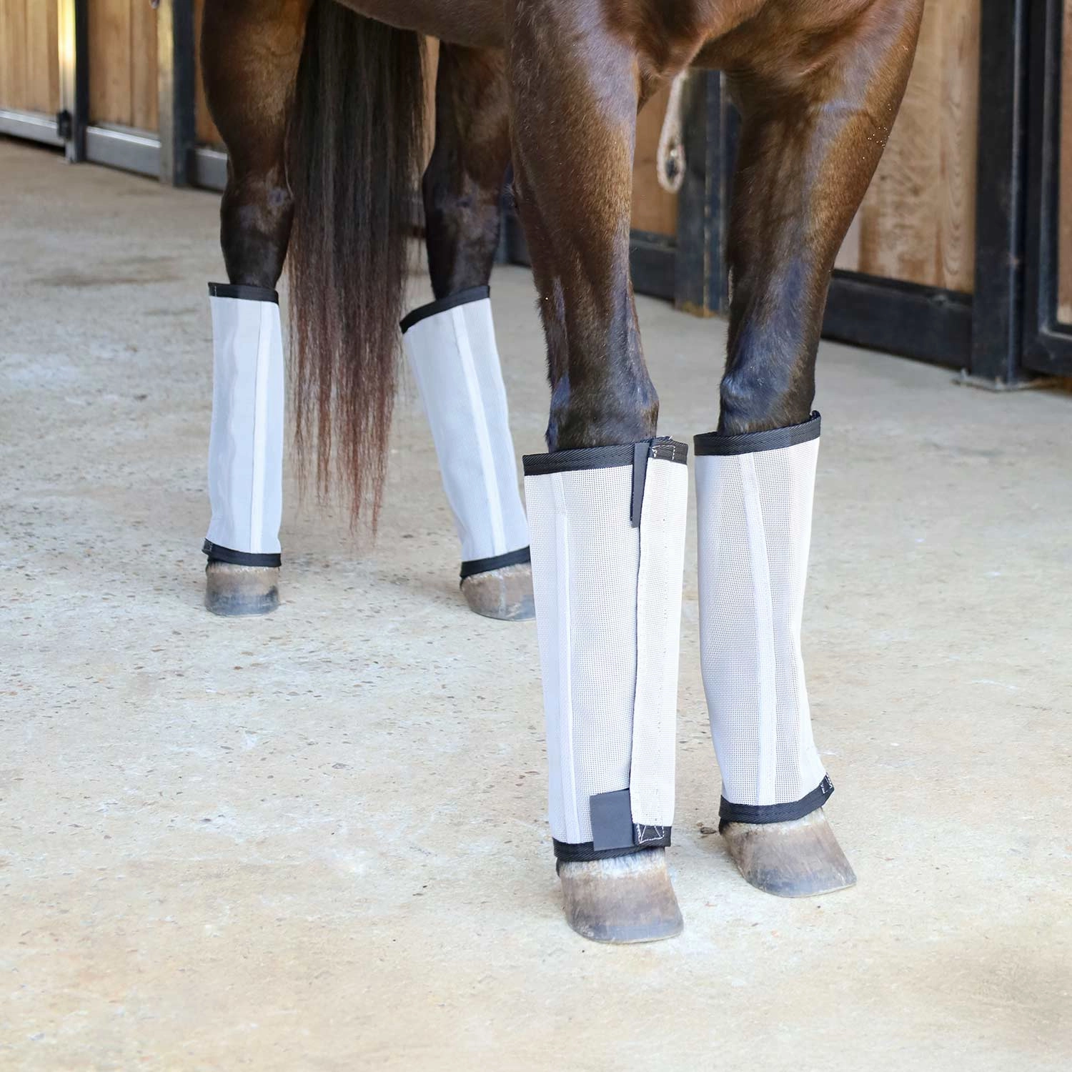 Jeffers Romper Stomper "Stomp-Free" Fly Boots for Horses, 4 pack