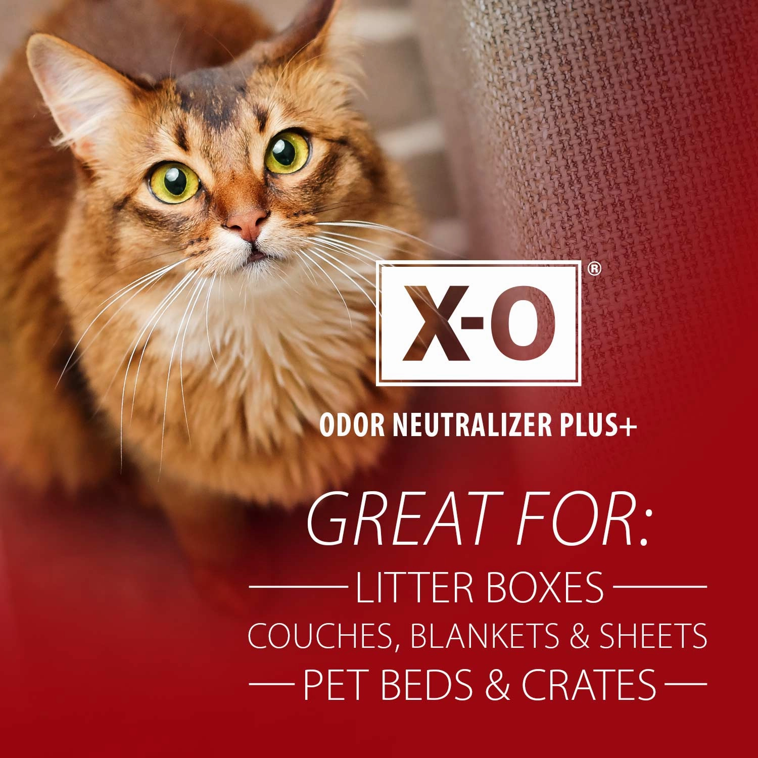 Jeffers X-O Pet Odor Neutralizer Plus   Cleaner Concentrate