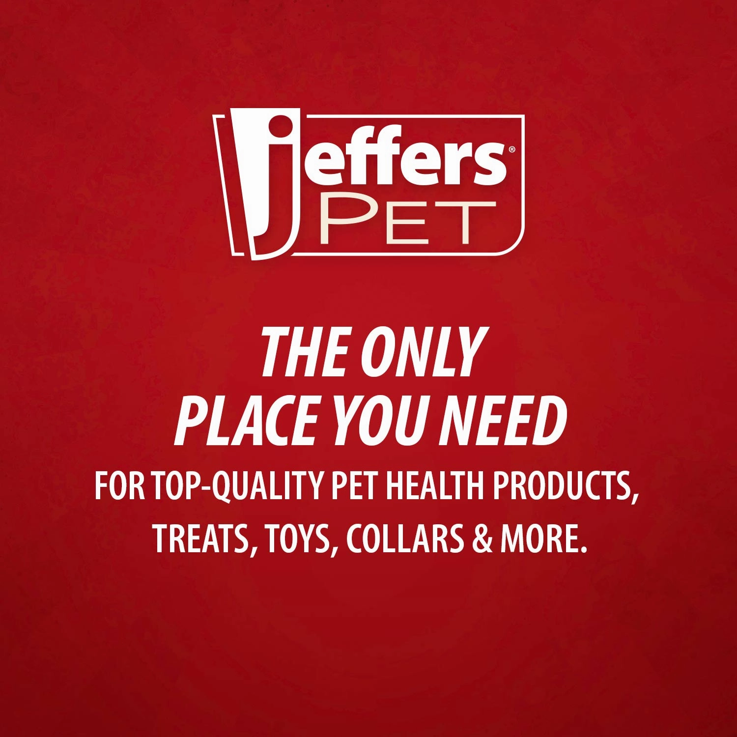 Jeffers X-O Pet Odor Neutralizer Plus   Cleaner Concentrate
