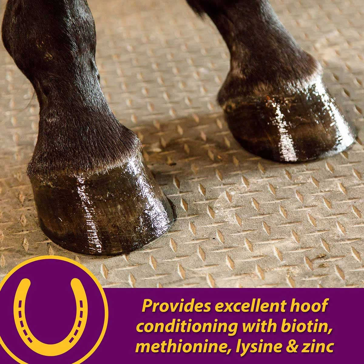 Joint Combo Hoof & Coat Supplement for Horses