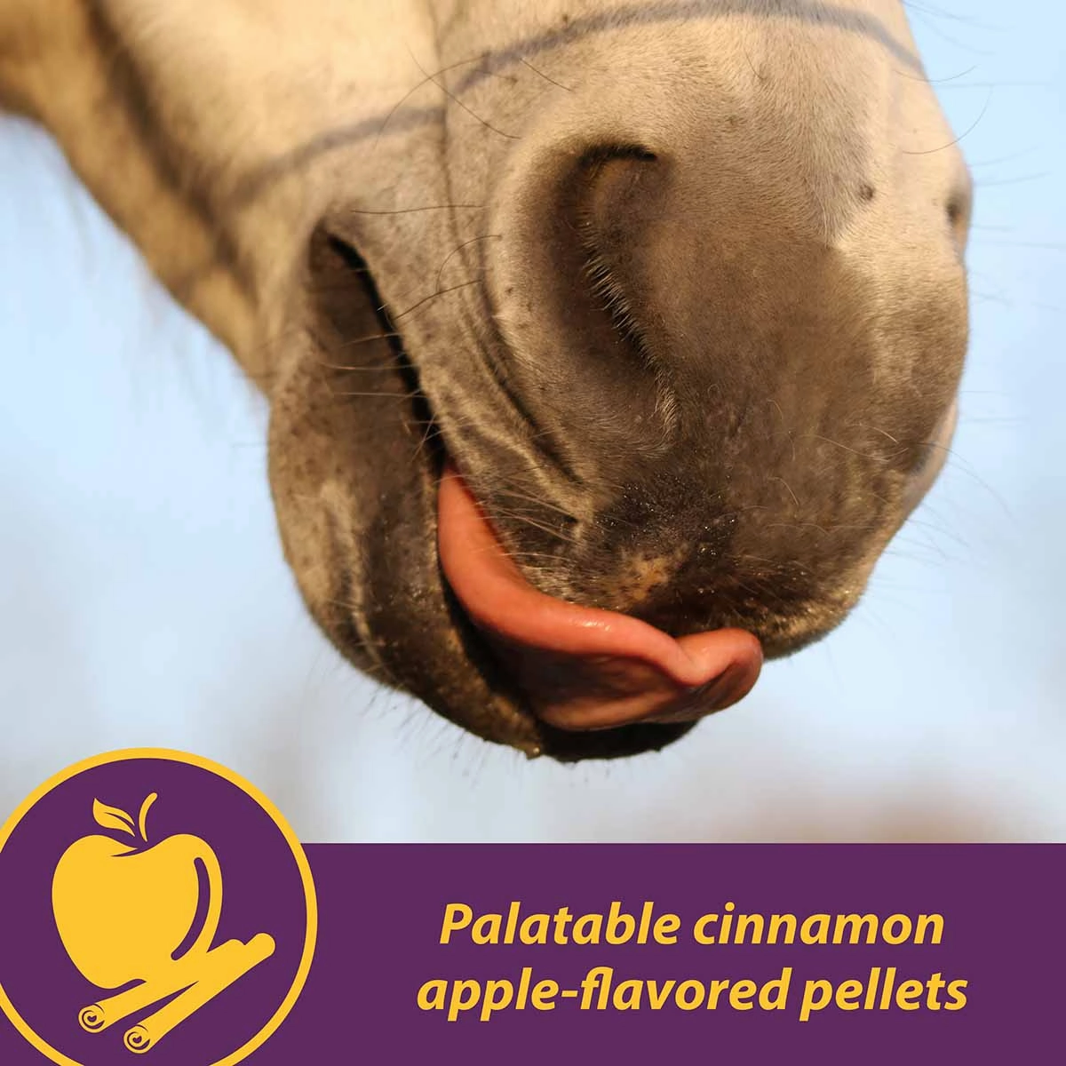 Joint Combo Pellets for Horses