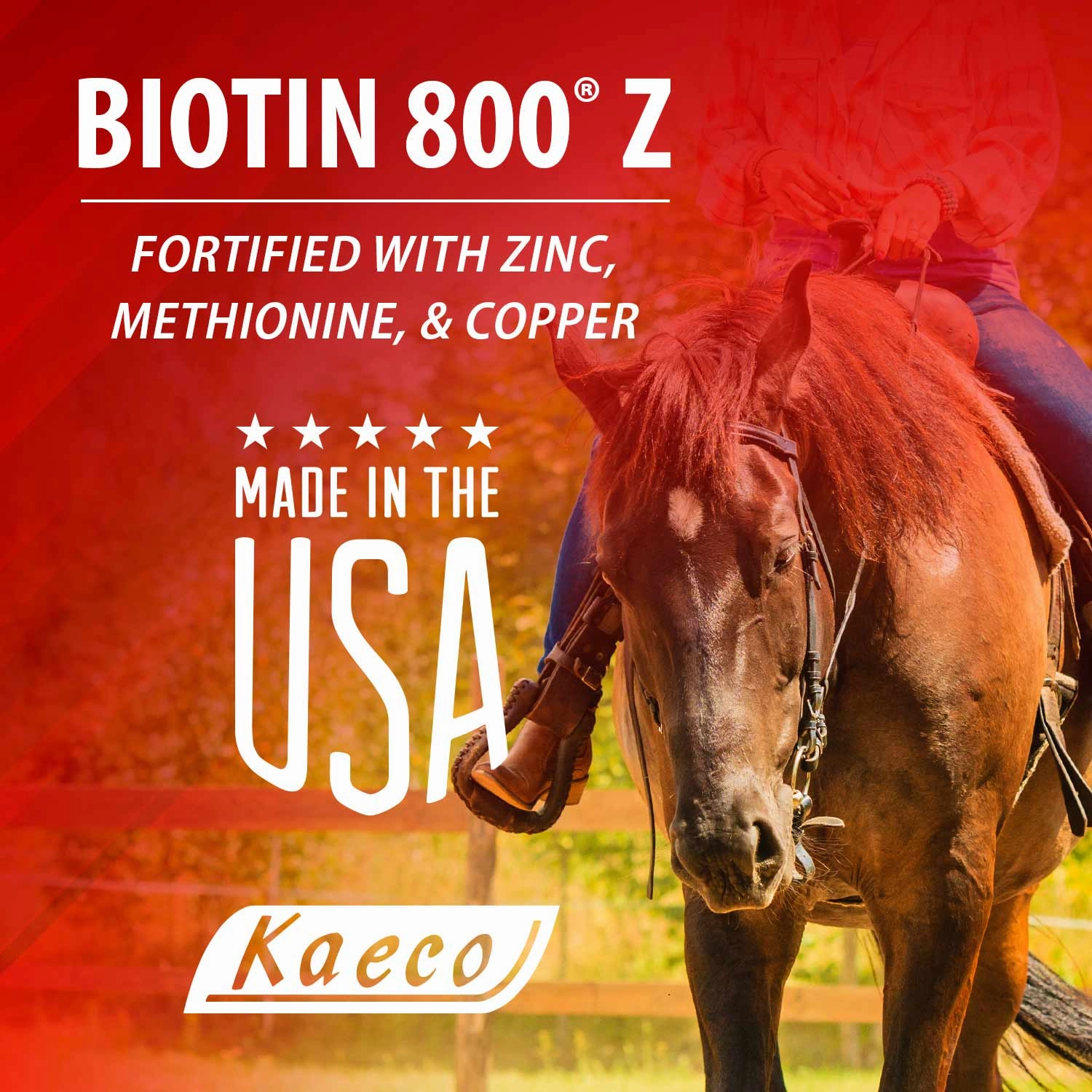 Kaeco Biotin 800 Z Pellets Equine Supplement