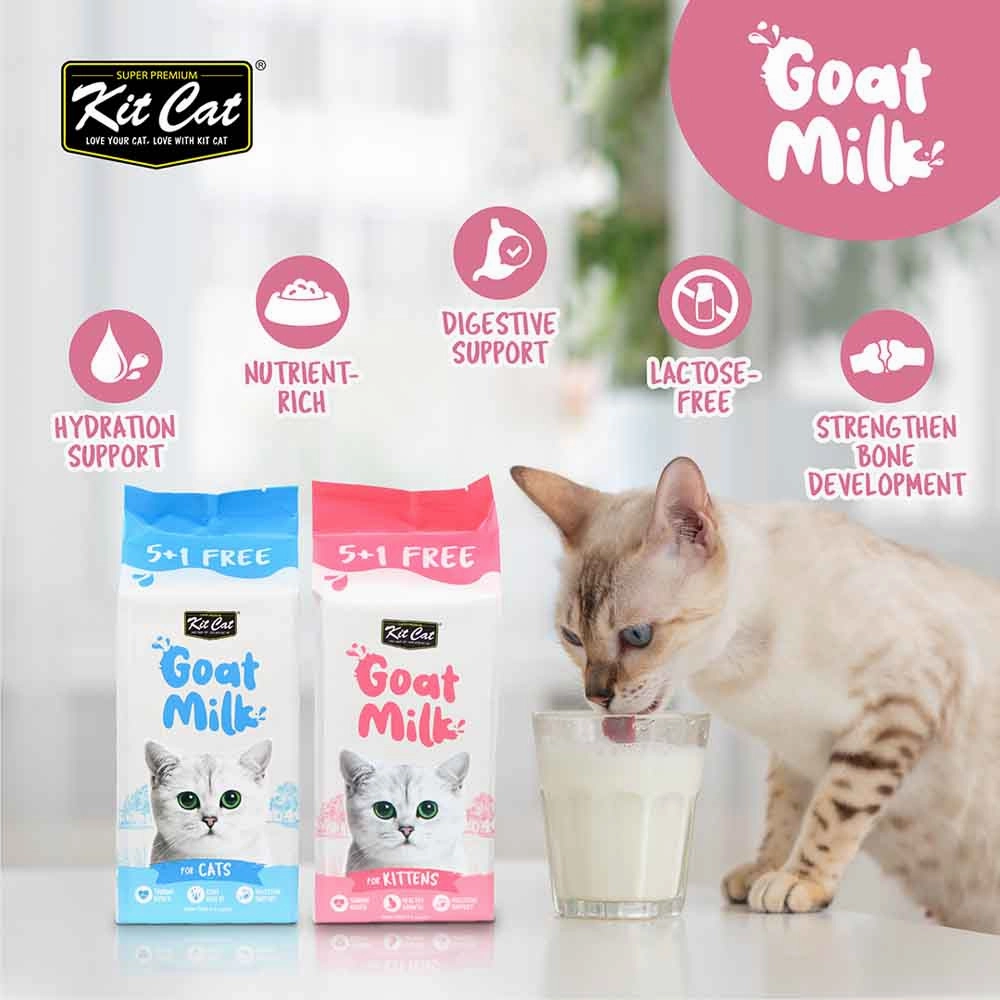 Kit Cat Lactose-Free Goat Milk Pouches for Cats (50ml x 6)