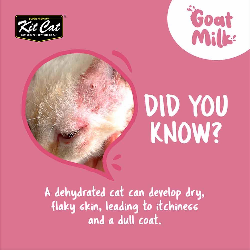 Kit Cat Lactose-Free Goat Milk Pouches for Cats (50ml x 6)