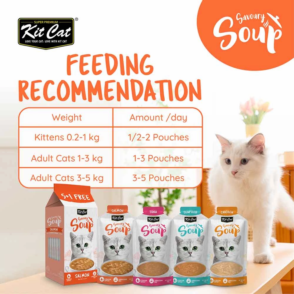 Kit Cat Savoury Soup Salmon Wet Pouch Cat Food (50g x 6)