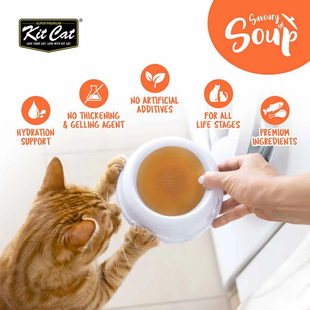 Kit Cat Savoury Soup Salmon Wet Pouch Cat Food (50g x 6)
