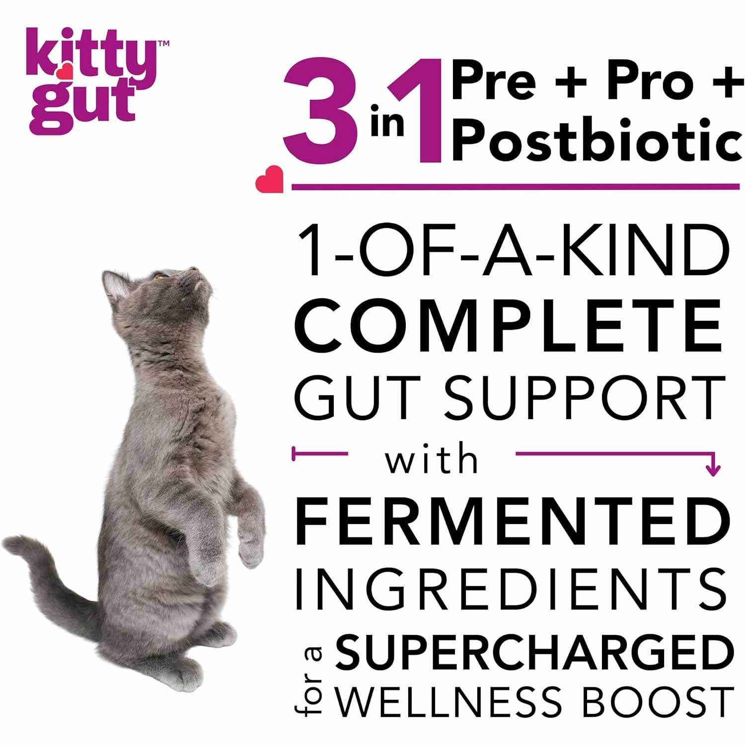 Kitty Gut 3-in-1 Pre   Pro   Postbiotic Supplement for Cats